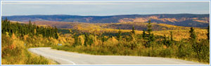 Truck transport, road freight transport, loads for trucking, backway trucks for freight transportation, delivery cargo.